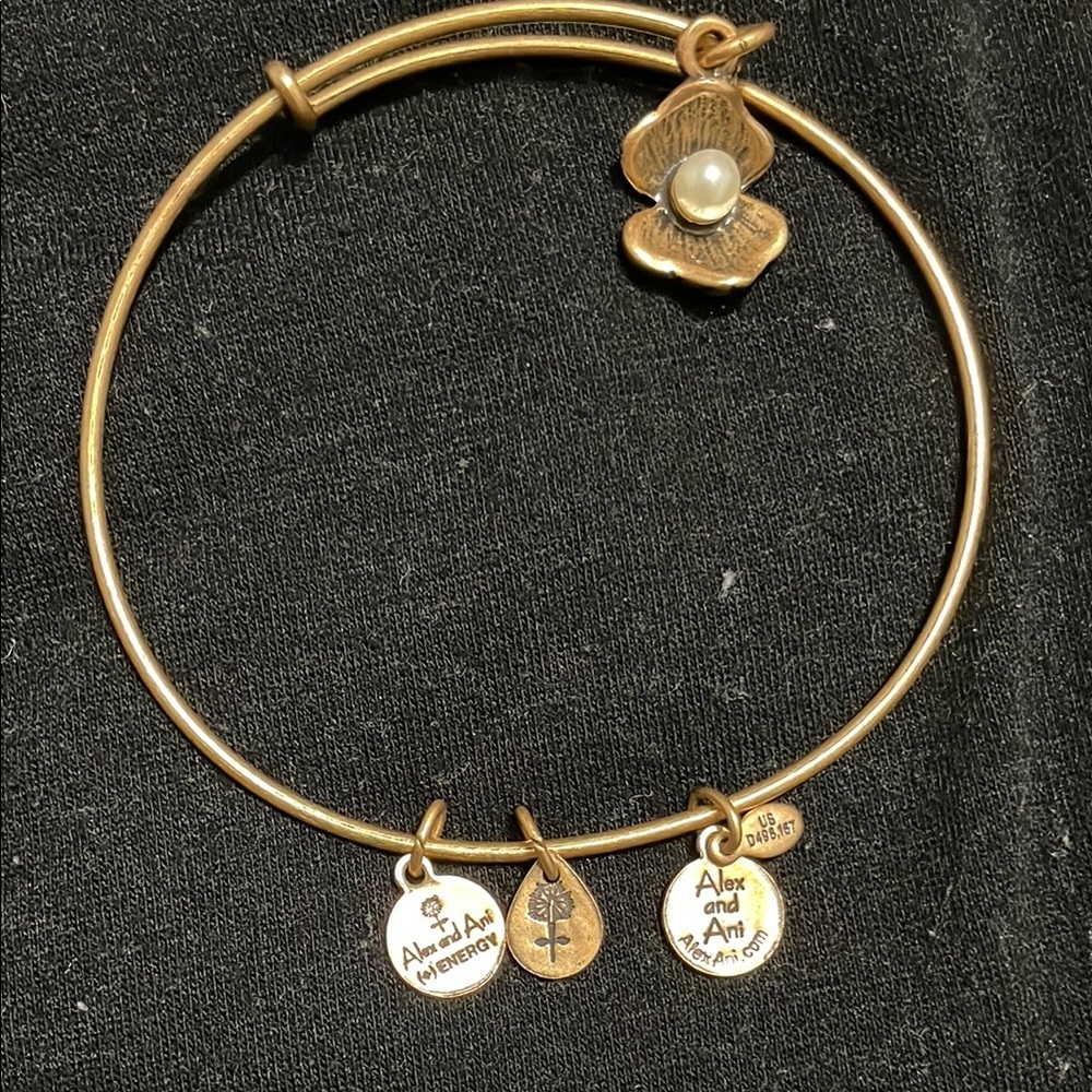 Alex and Ani Gold Expandable Charm Bracelet